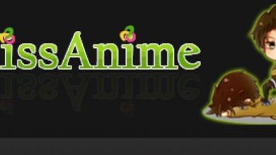 Photo of Best KissAnime Proxy / Mirrors Sites List and KissAnime Alternatives [Updated 2020]